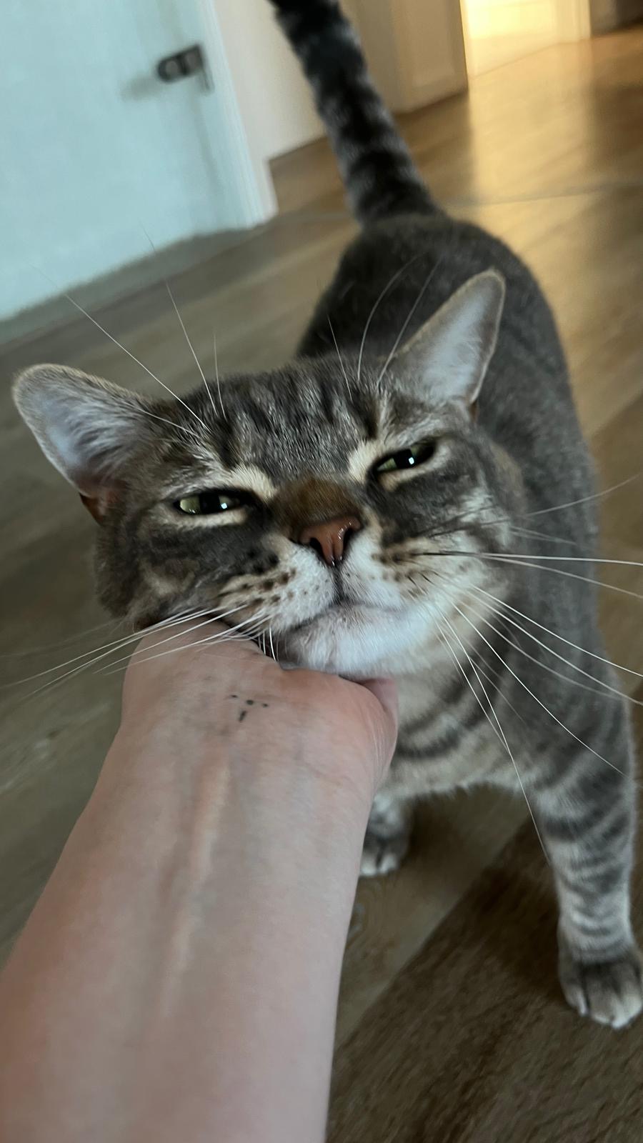 Camilo