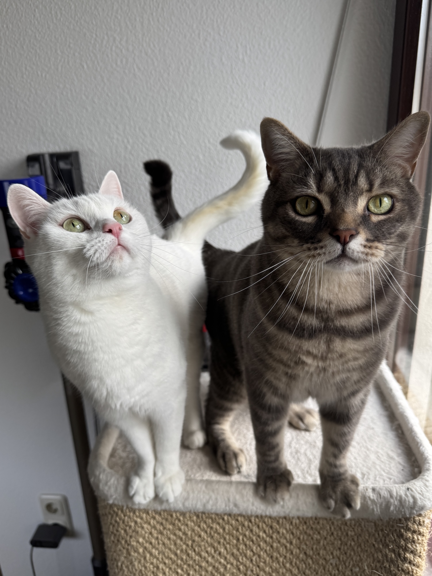 Camilo und Maya