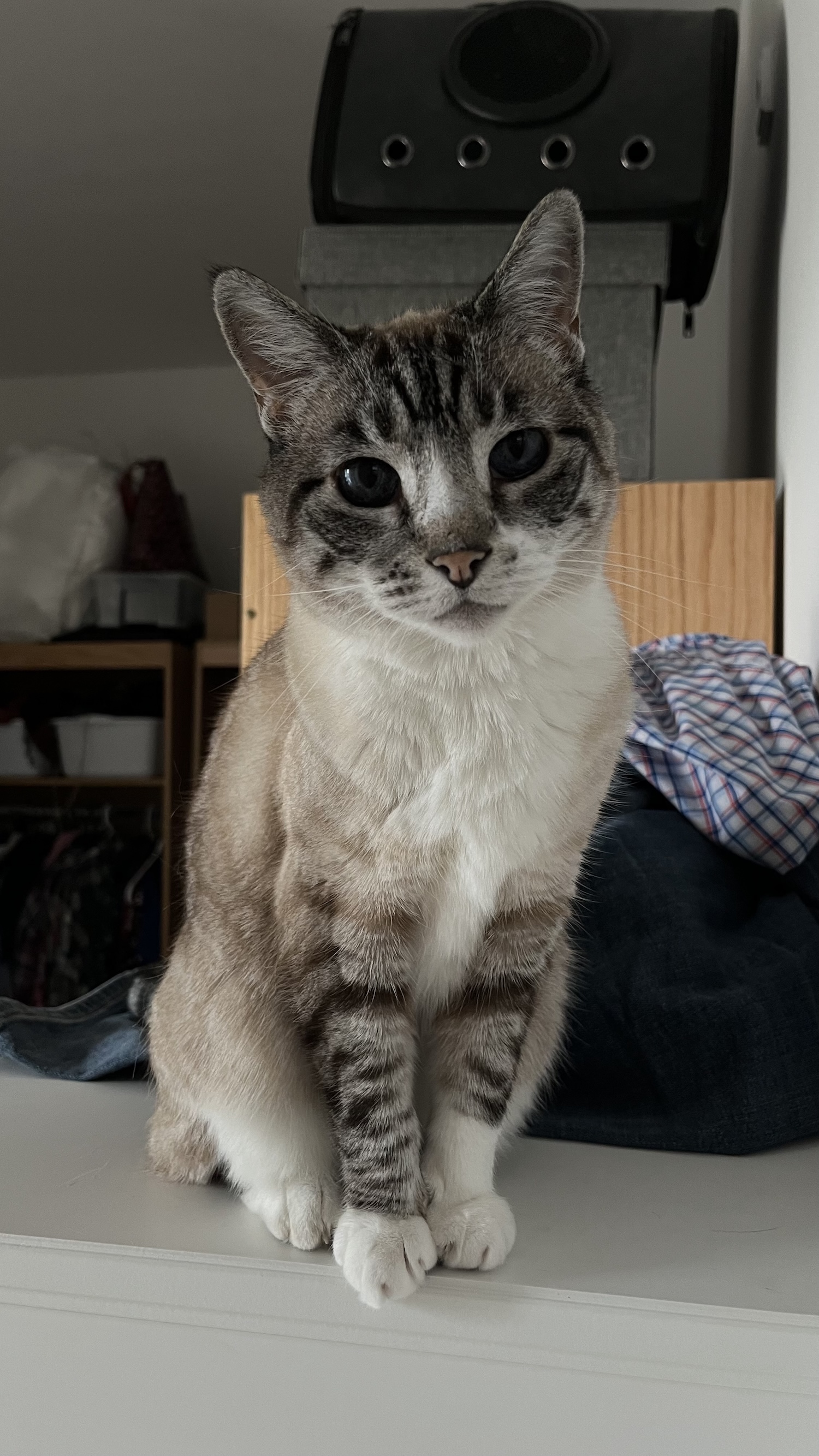 Clara