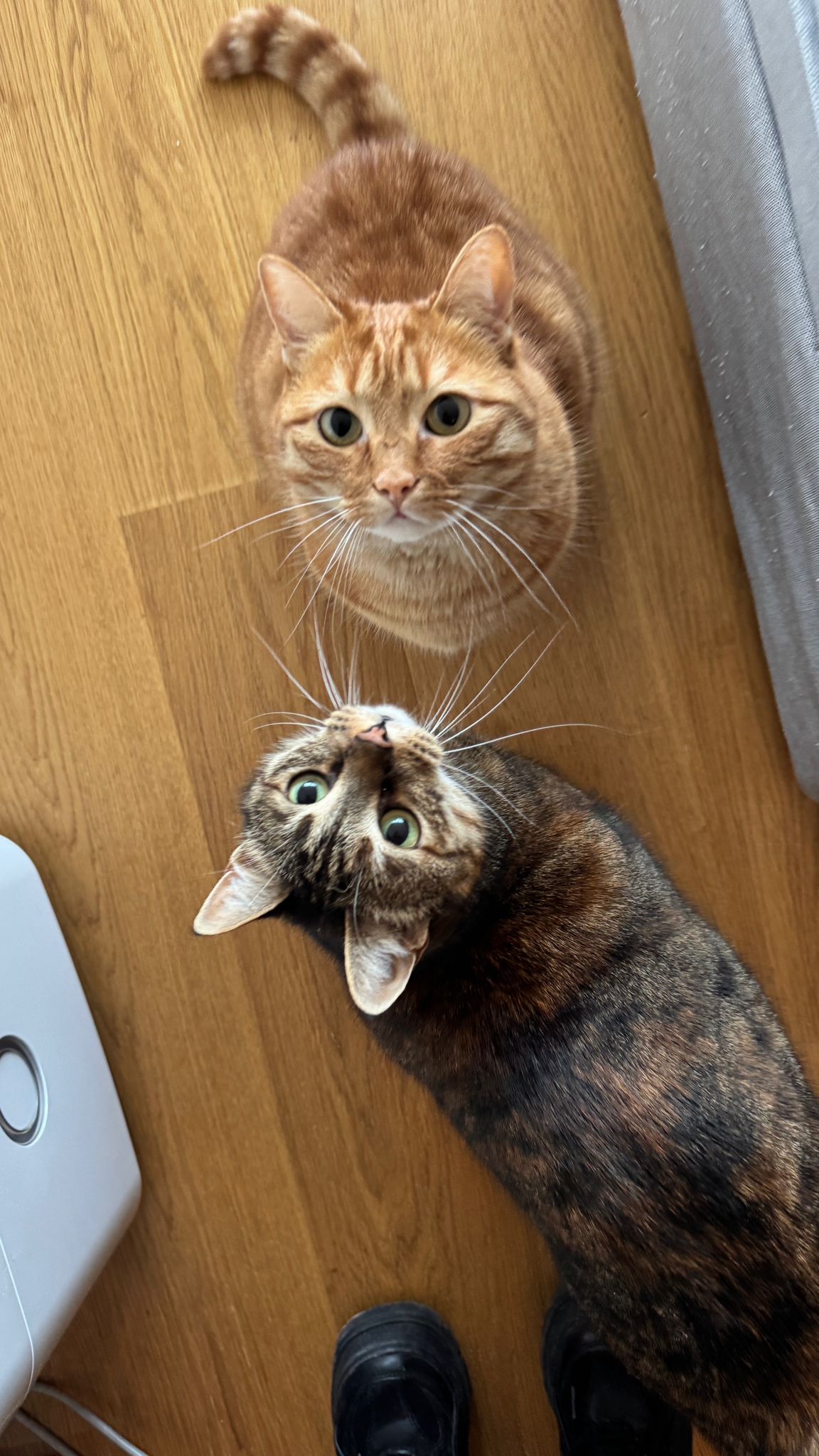 Edina und Emmi