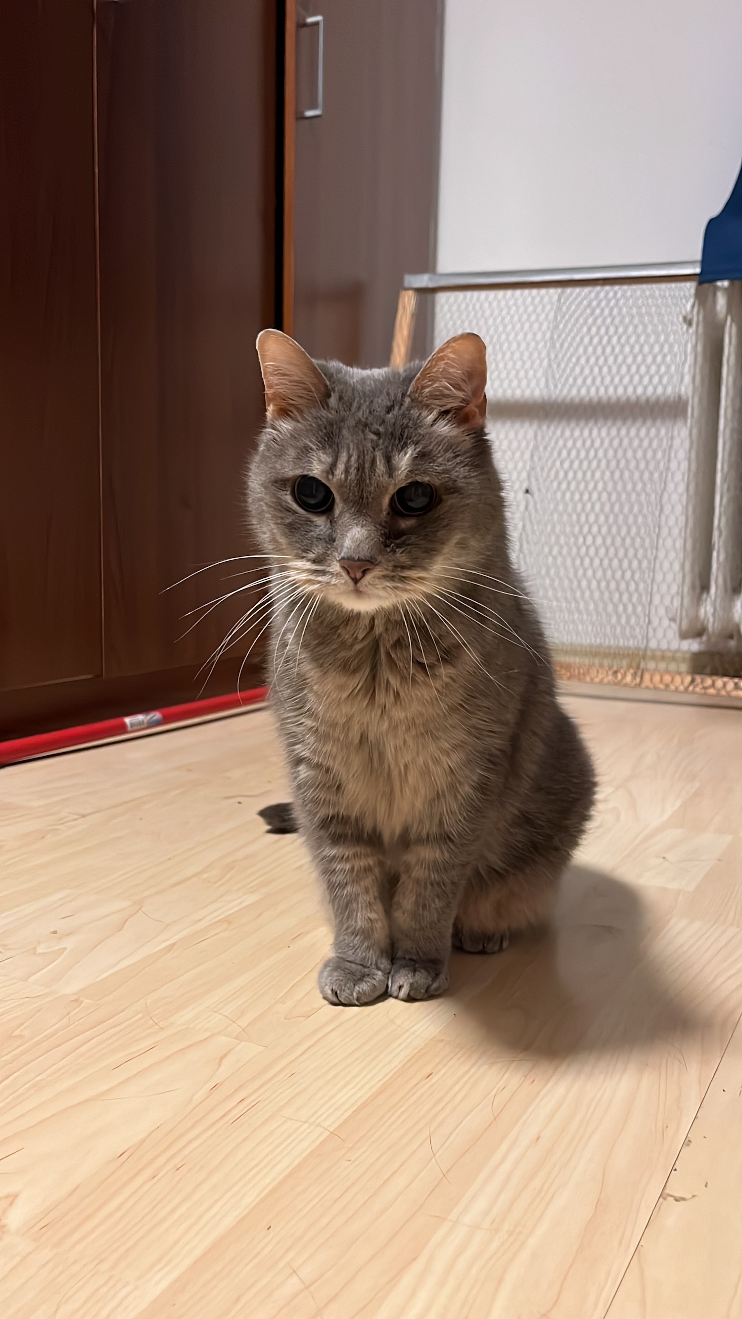 Eika