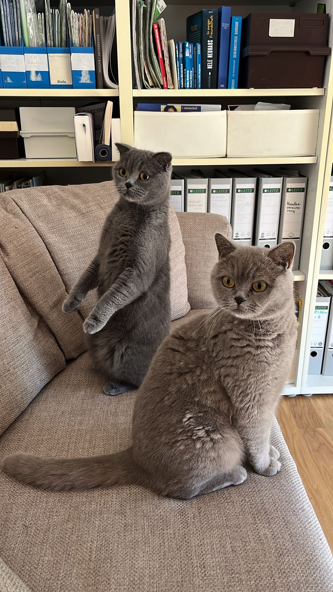 Felix und Felia