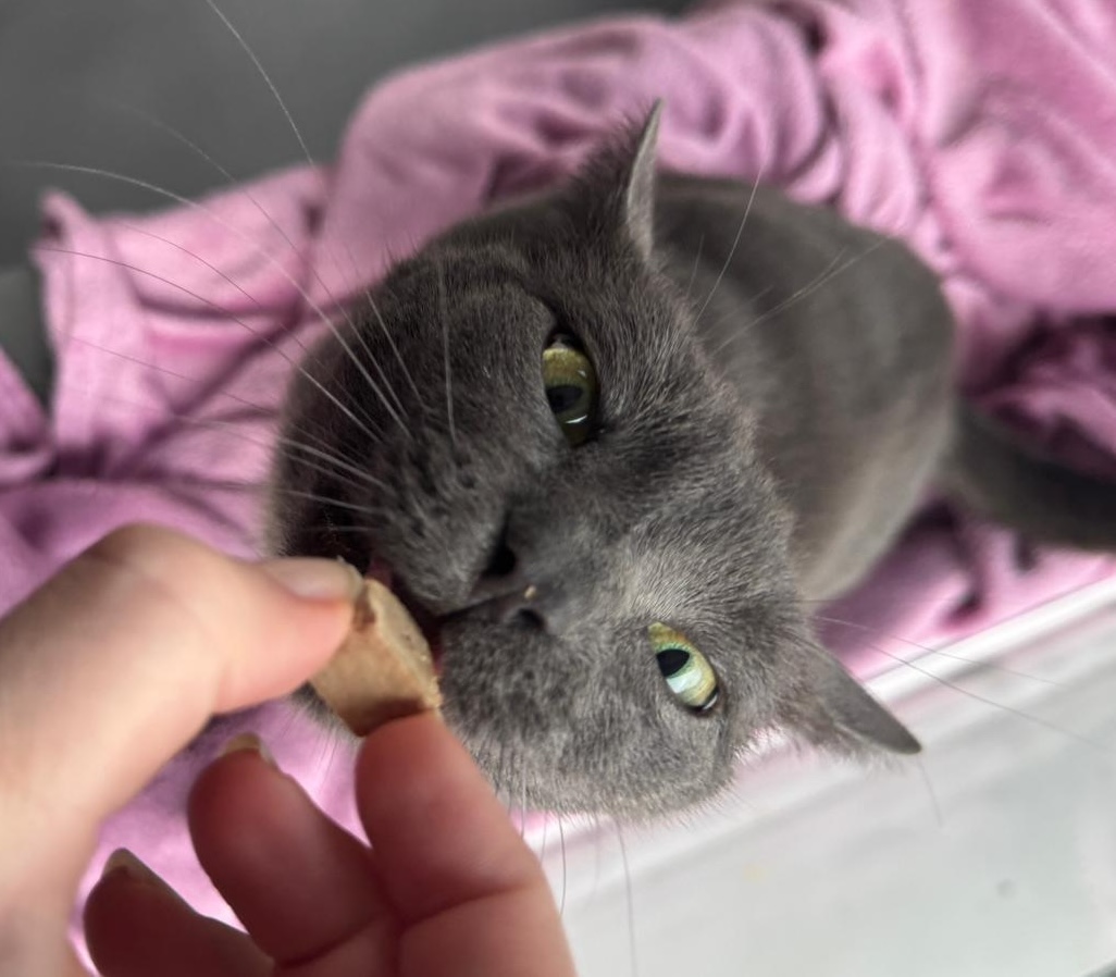 June