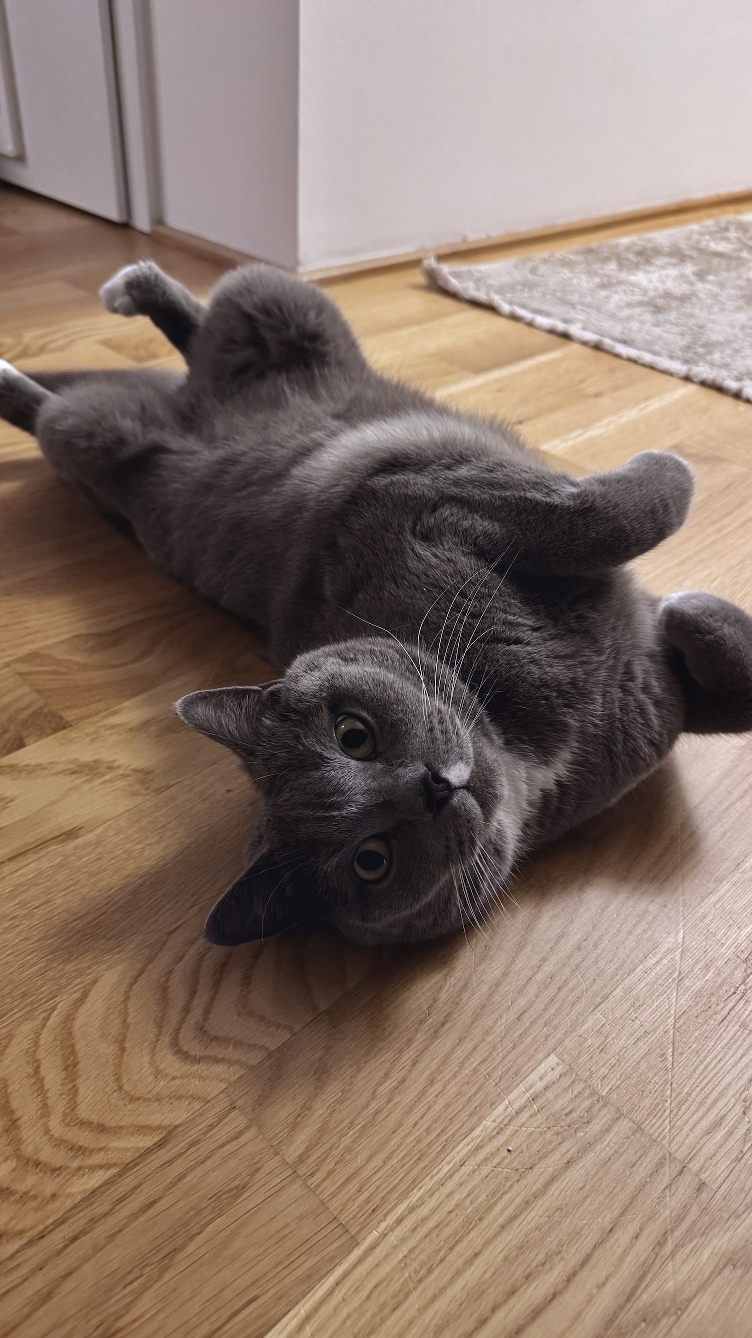 Luki