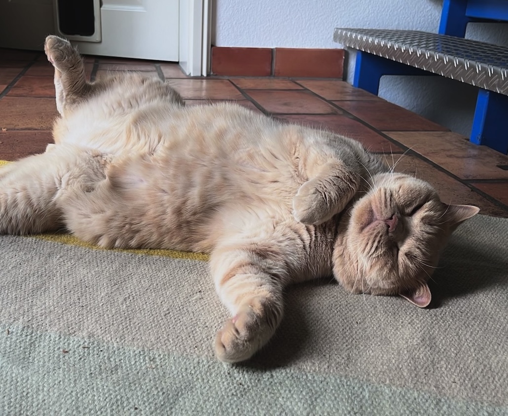 Winnie